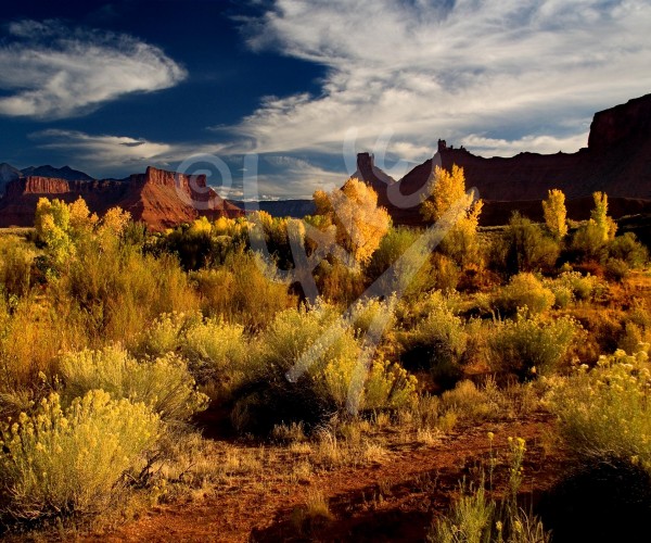 UTAH Colorado River Valley